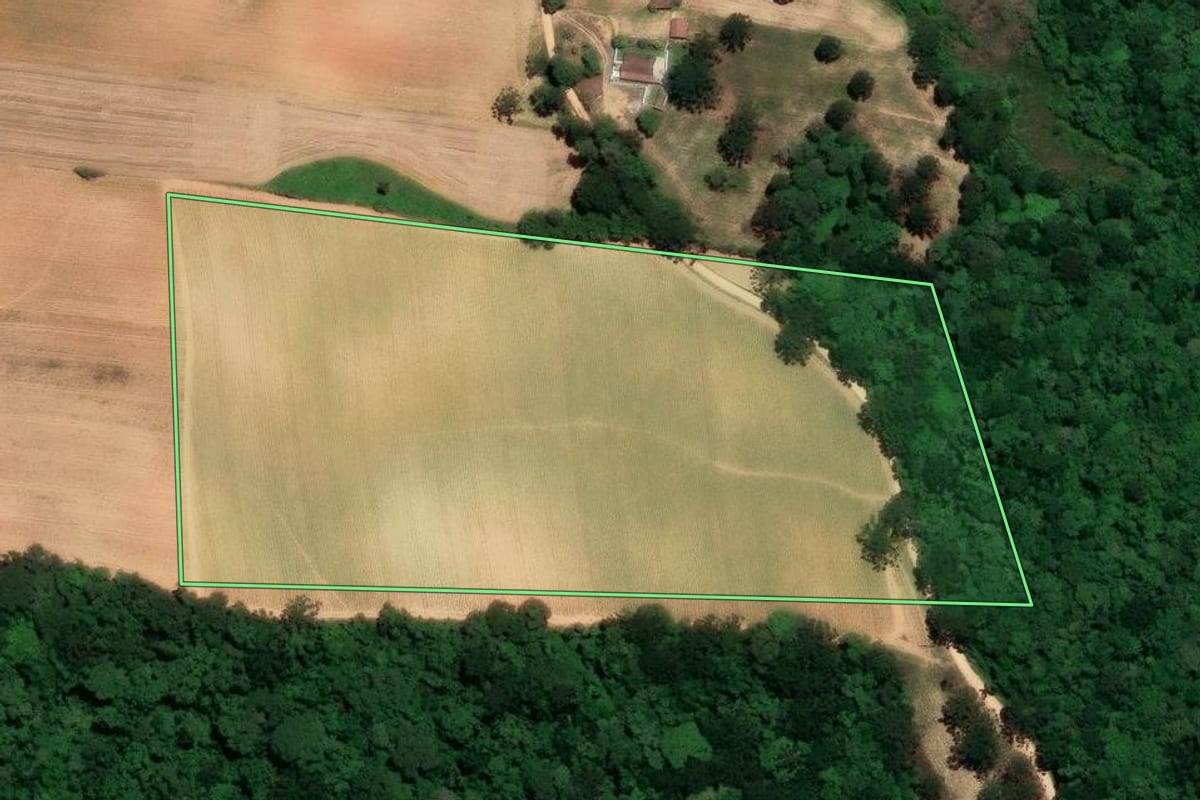 Imagem de satélite do imóvel rural em Contenda (PR), com o contorno declarado no CAR desenhado por cima.