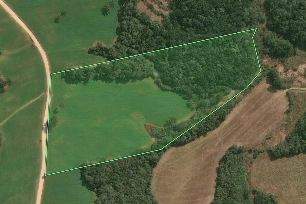 Imagem de satélite do imóvel rural em Contenda (PR), com o contorno declarado no CAR desenhado por cima.