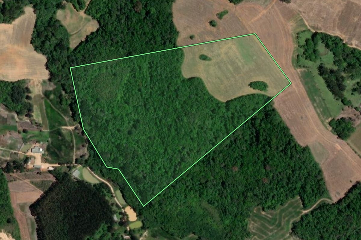 Imagem de satélite do imóvel rural em Contenda (PR), com o contorno declarado no CAR desenhado por cima.