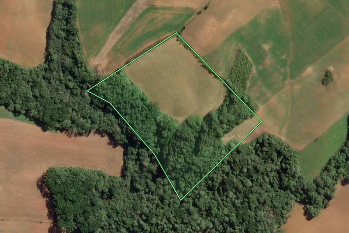 Imagem de satélite do imóvel rural em Contenda (PR), com o contorno declarado no CAR desenhado por cima.