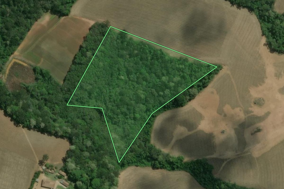 Imagem de satélite do imóvel rural em Contenda (PR), com o contorno declarado no CAR desenhado por cima.