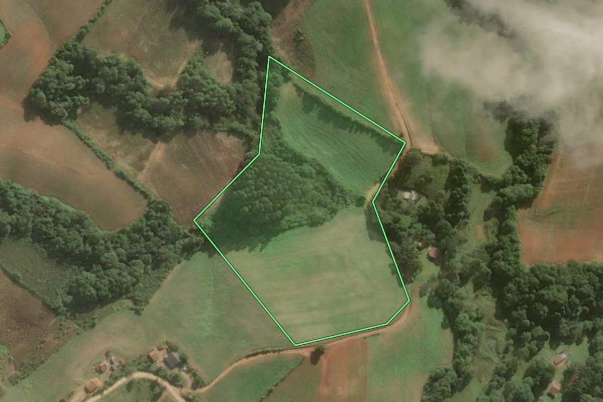 Imagem de satélite do imóvel rural em Contenda (PR), com o contorno declarado no CAR desenhado por cima.