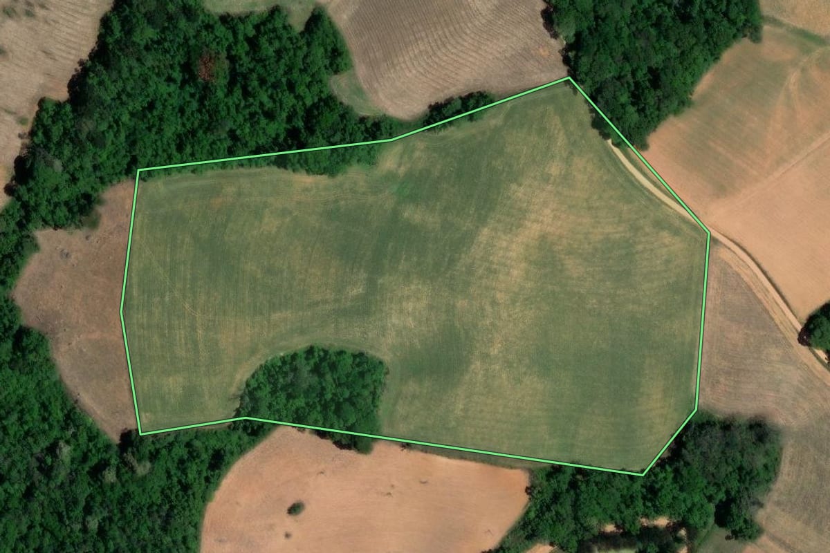 Imagem de satélite do imóvel rural em Contenda (PR), com o contorno declarado no CAR desenhado por cima.