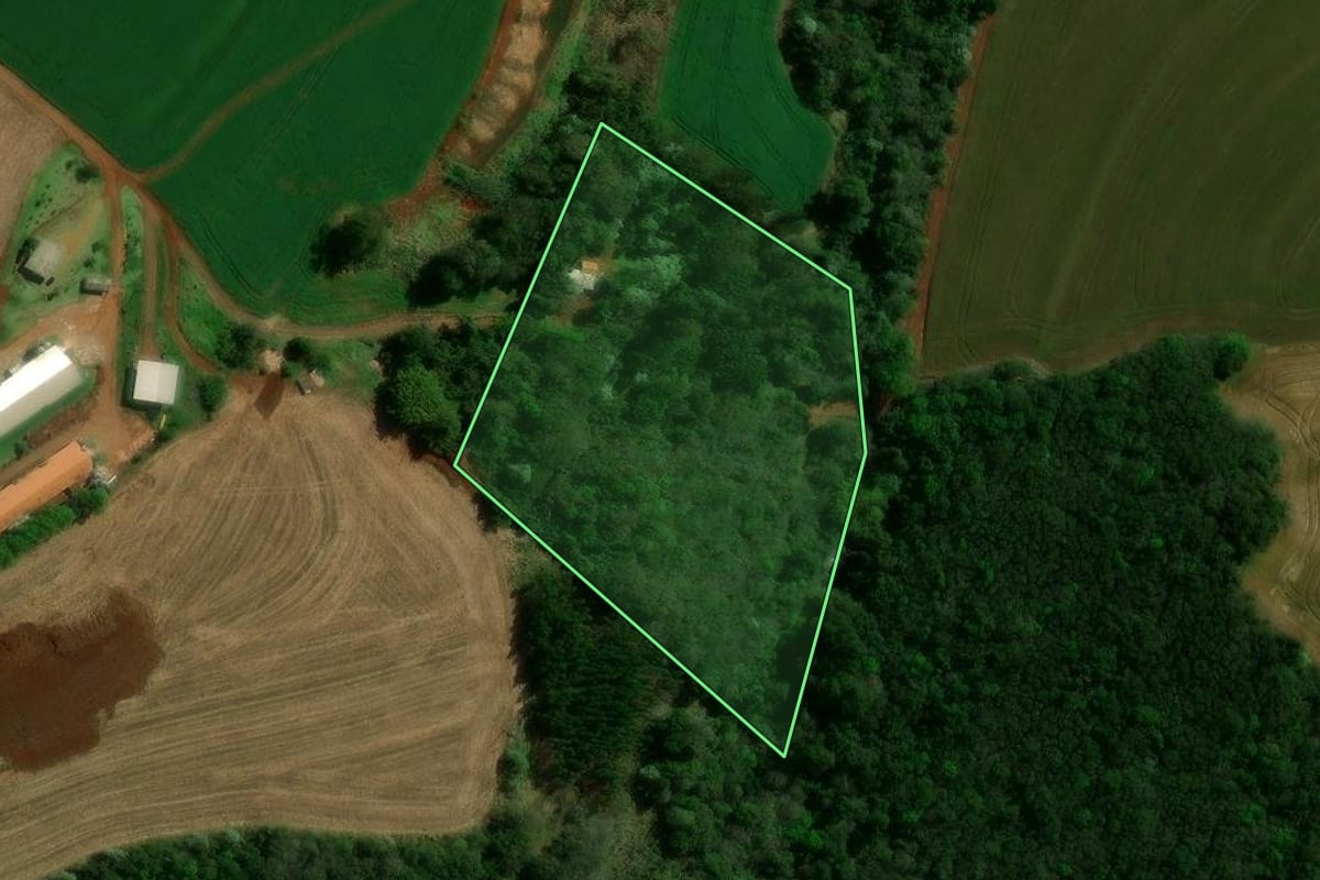Imagem de satélite do imóvel rural em Corbélia (PR), com o contorno declarado no CAR desenhado por cima.