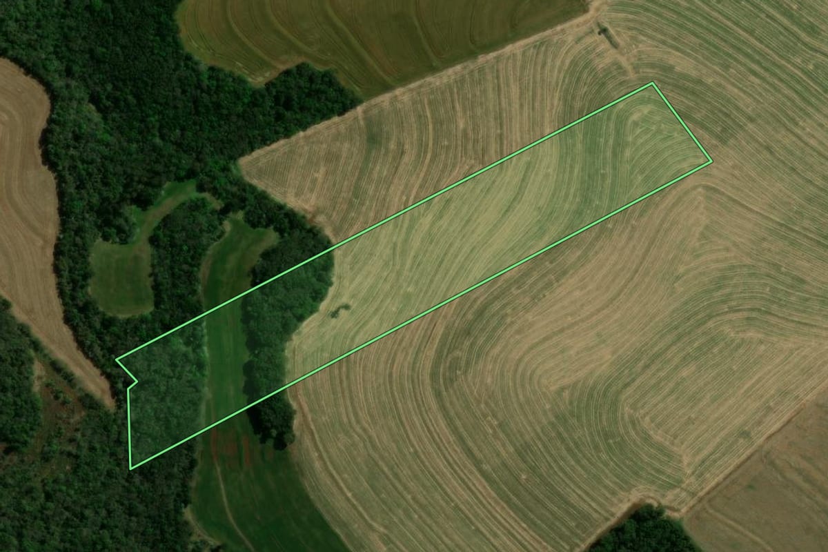 Imagem de satélite do imóvel rural em Corbélia (PR), com o contorno declarado no CAR desenhado por cima.