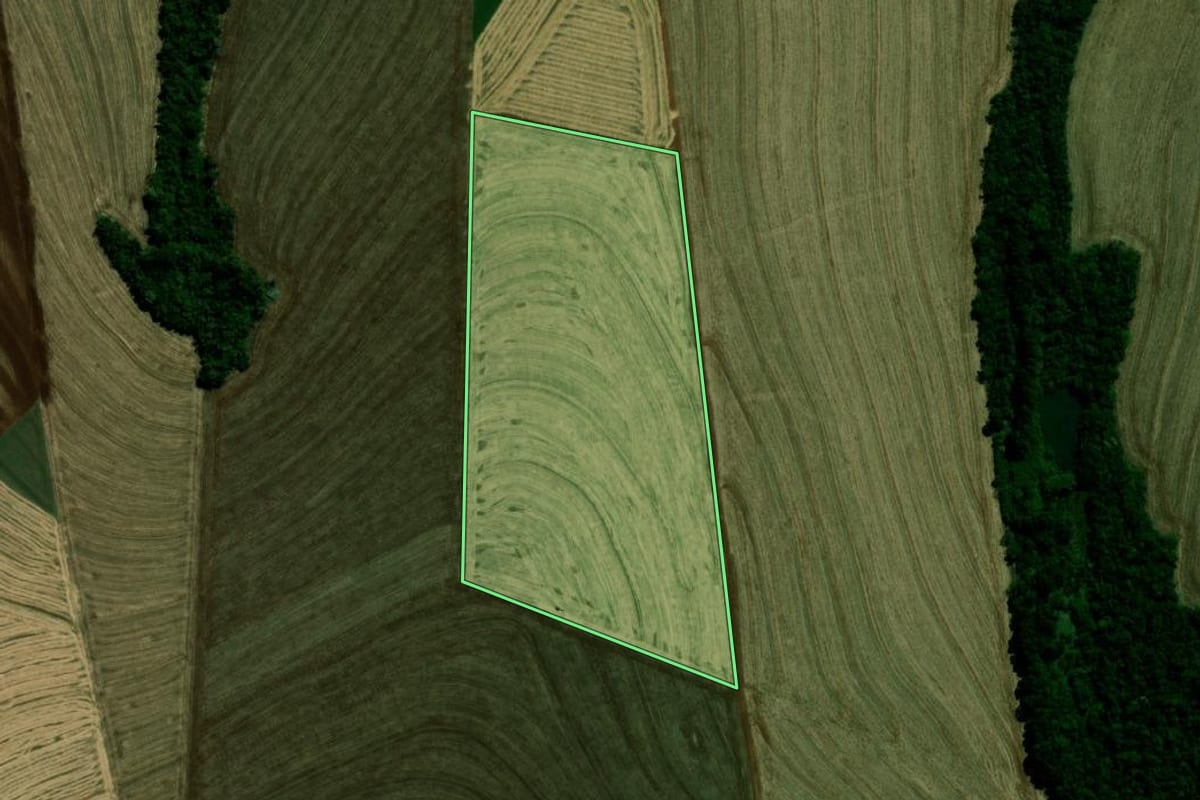 Imagem de satélite do imóvel rural em Corbélia (PR), com o contorno declarado no CAR desenhado por cima.