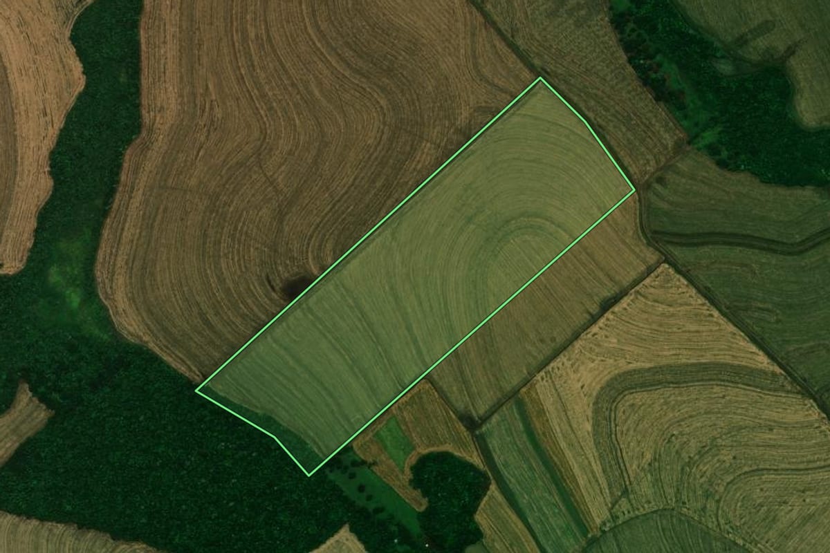 Imagem de satélite do imóvel rural em Corbélia (PR), com o contorno declarado no CAR desenhado por cima.
