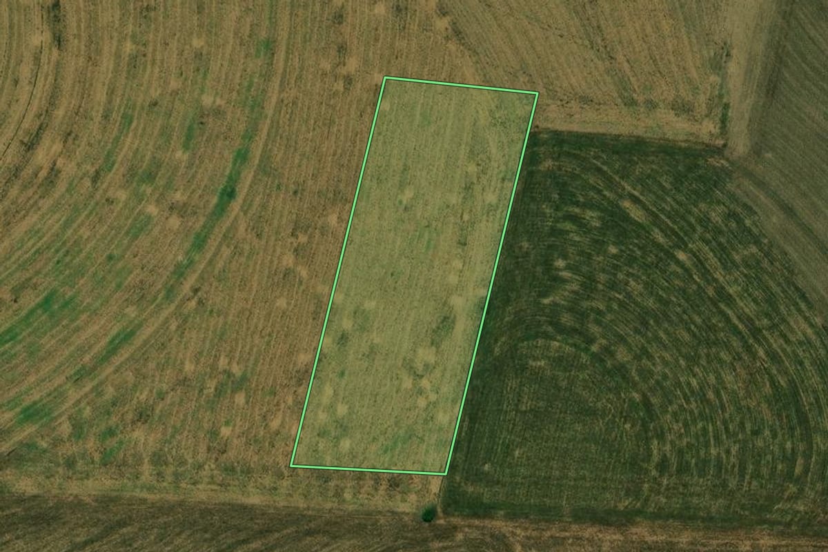 Imagem de satélite do imóvel rural em Corbélia (PR), com o contorno declarado no CAR desenhado por cima.
