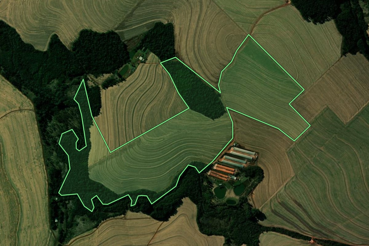 Imagem de satélite do imóvel rural em Corbélia (PR), com o contorno declarado no CAR desenhado por cima.