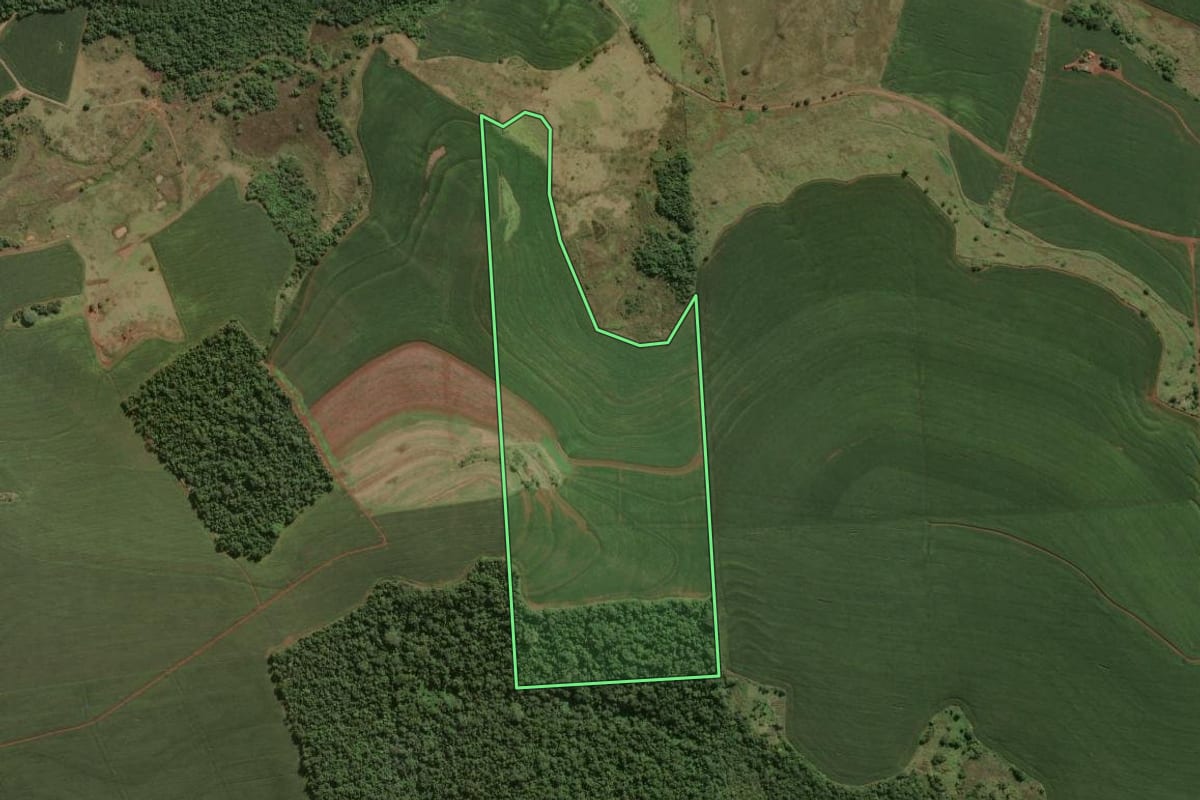 Imagem de satélite do imóvel rural em Cornélio Procópio (PR), com o contorno declarado no CAR desenhado por cima.