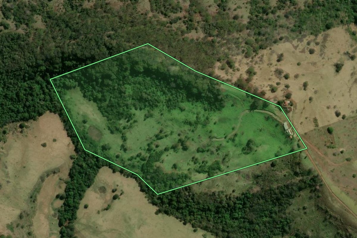 Imagem de satélite do imóvel rural em Cornélio Procópio (PR), com o contorno declarado no CAR desenhado por cima.