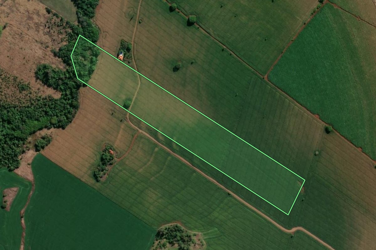 Imagem de satélite do imóvel rural em Cornélio Procópio (PR), com o contorno declarado no CAR desenhado por cima.
