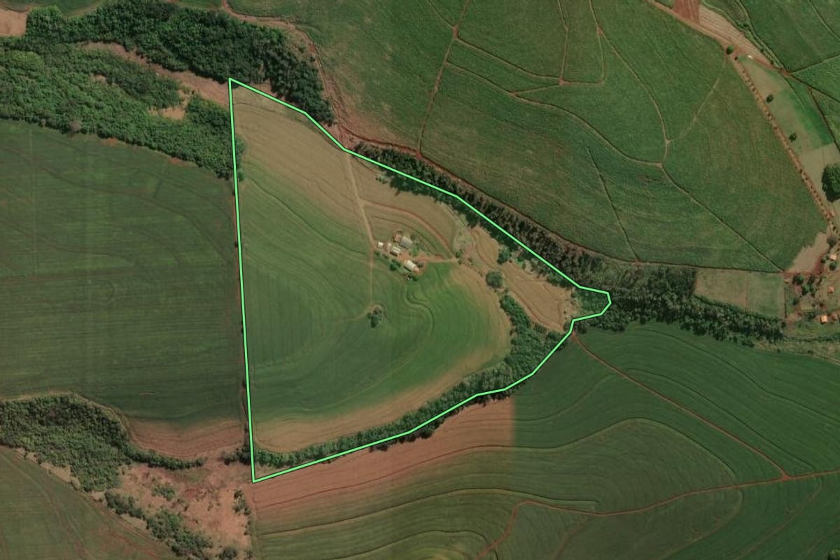 Imagem de satélite do imóvel rural em Cornélio Procópio (PR), com o contorno declarado no CAR desenhado por cima.