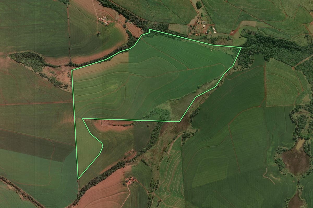 Imagem de satélite do imóvel rural em Cornélio Procópio (PR), com o contorno declarado no CAR desenhado por cima.