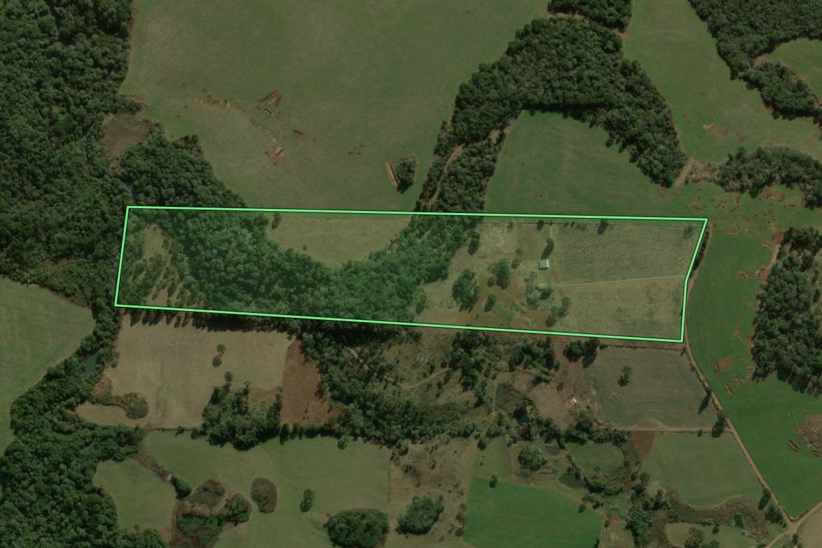 Imagem de satélite do imóvel rural em Coronel Domingos Soares (PR), com o contorno declarado no CAR desenhado por cima.