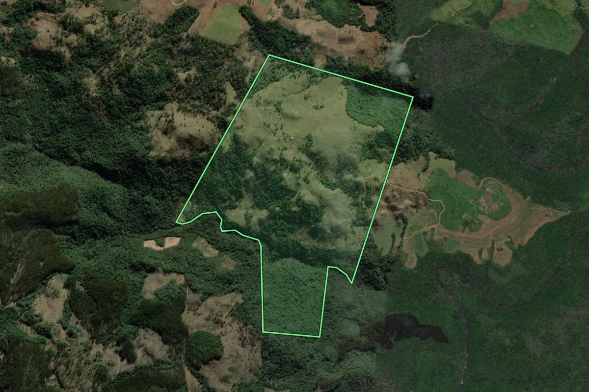 Imagem de satélite do imóvel rural em Coronel Domingos Soares (PR), com o contorno declarado no CAR desenhado por cima.