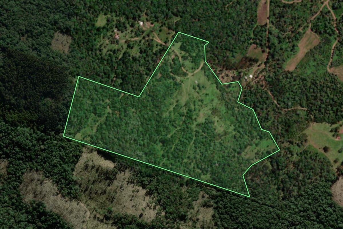 Imagem de satélite do imóvel rural em Coronel Domingos Soares (PR), com o contorno declarado no CAR desenhado por cima.