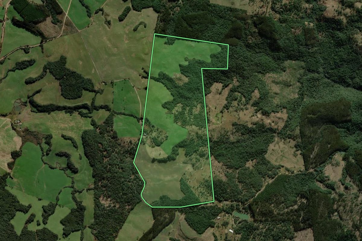 Imagem de satélite do imóvel rural em Coronel Domingos Soares (PR), com o contorno declarado no CAR desenhado por cima.