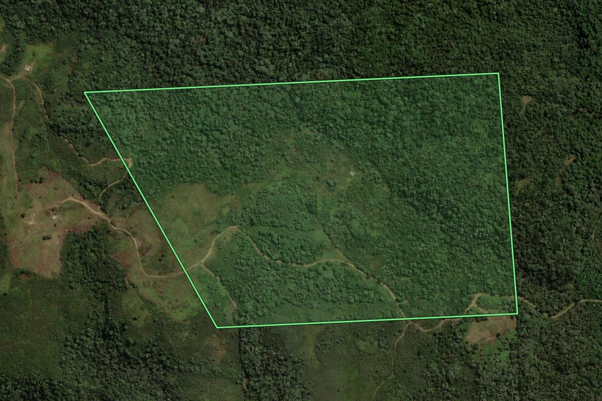 Imagem de satélite do imóvel rural em Coronel Domingos Soares (PR), com o contorno declarado no CAR desenhado por cima.