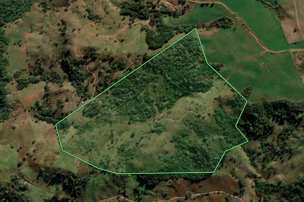 Imagem de satélite do imóvel rural em Coronel Domingos Soares (PR), com o contorno declarado no CAR desenhado por cima.