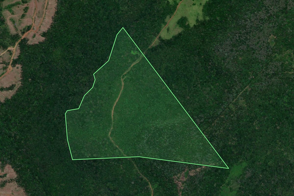 Imagem de satélite do imóvel rural em Coronel Domingos Soares (PR), com o contorno declarado no CAR desenhado por cima.