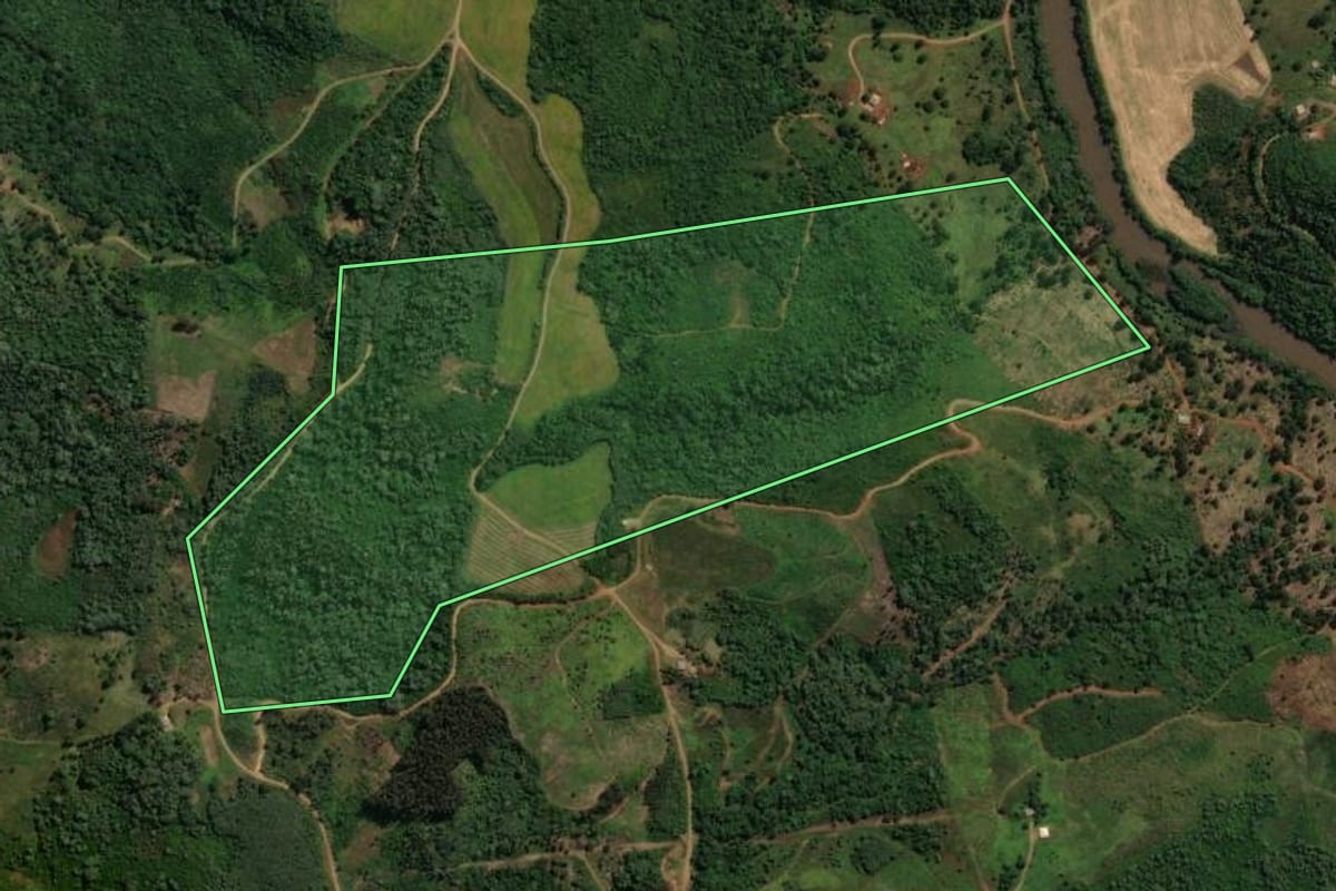 Imagem de satélite do imóvel rural em Coronel Domingos Soares (PR), com o contorno declarado no CAR desenhado por cima.