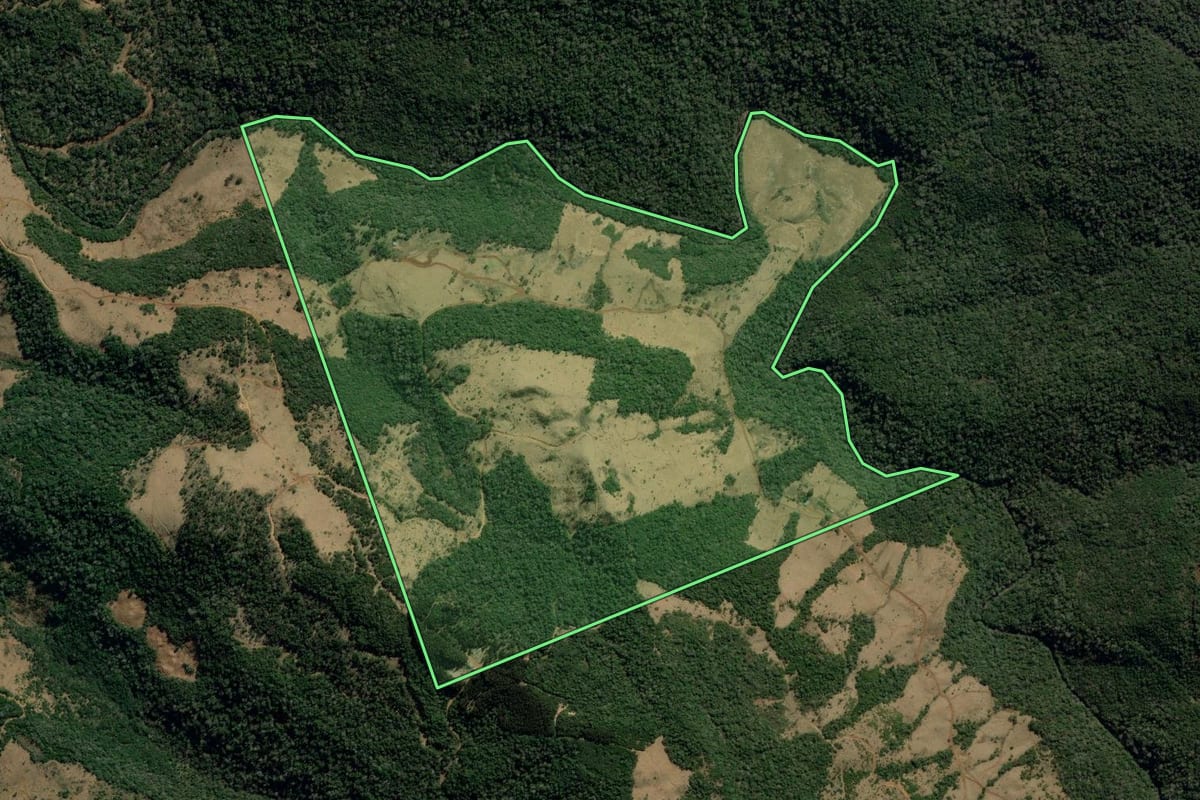 Imagem de satélite do imóvel rural em Coronel Domingos Soares (PR), com o contorno declarado no CAR desenhado por cima.