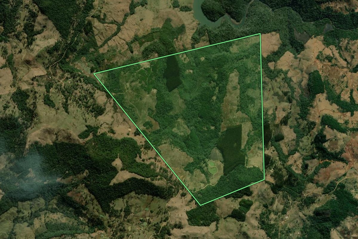 Imagem de satélite do imóvel rural em Coronel Domingos Soares (PR), com o contorno declarado no CAR desenhado por cima.