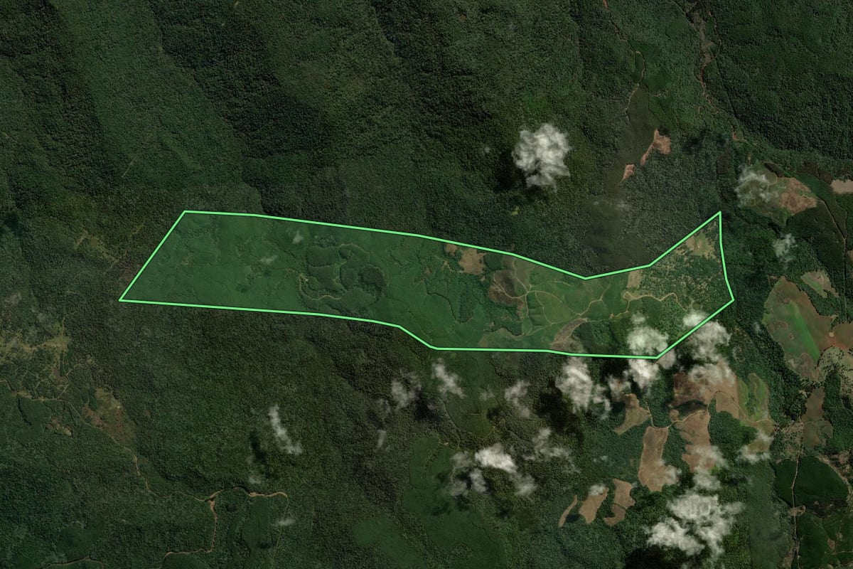 Imagem de satélite do imóvel rural em Coronel Domingos Soares (PR), com o contorno declarado no CAR desenhado por cima.