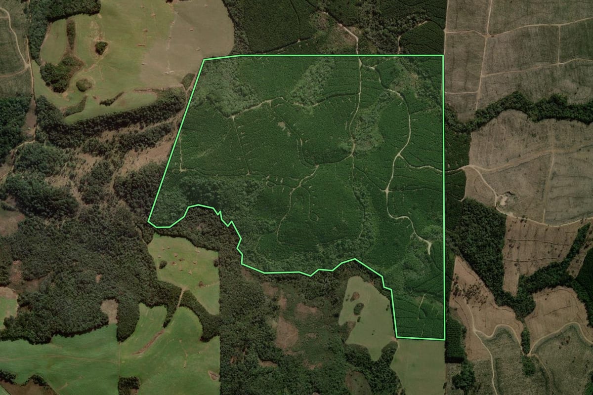 Imagem de satélite do imóvel rural em Coronel Domingos Soares (PR), com o contorno declarado no CAR desenhado por cima.