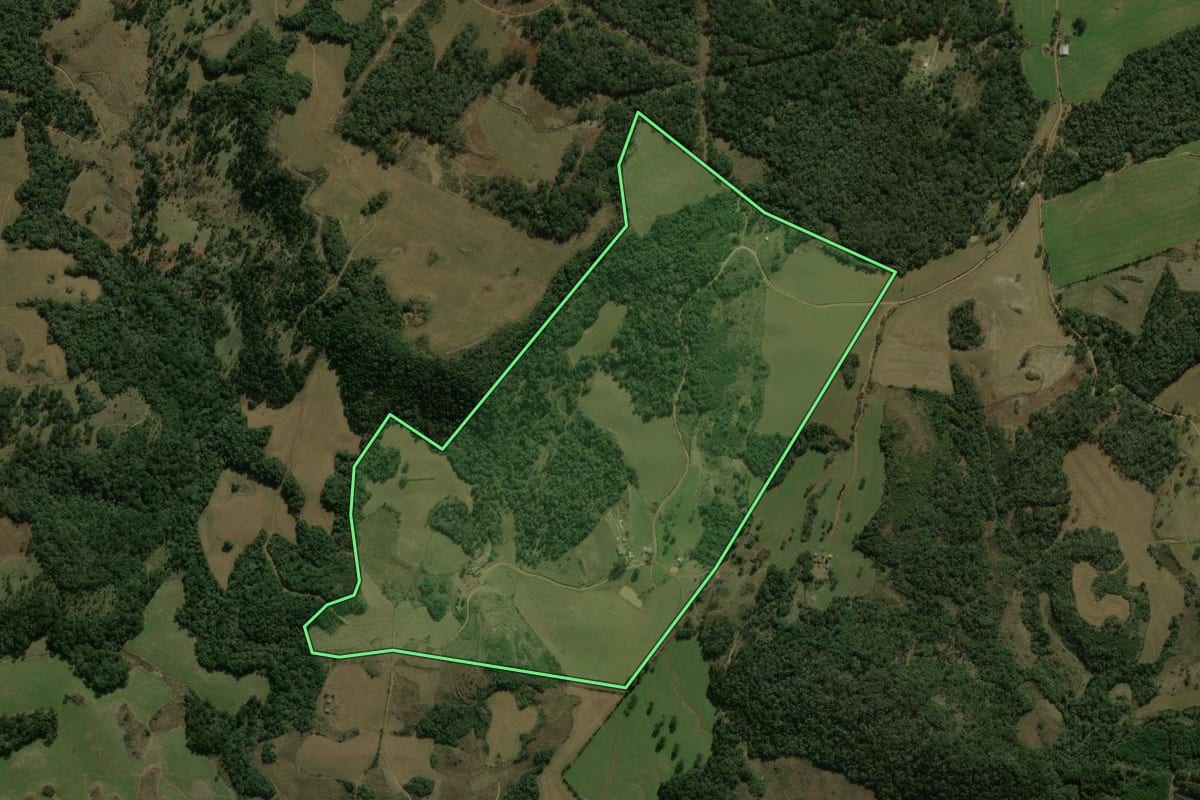Imagem de satélite do imóvel rural em Coronel Domingos Soares (PR), com o contorno declarado no CAR desenhado por cima.