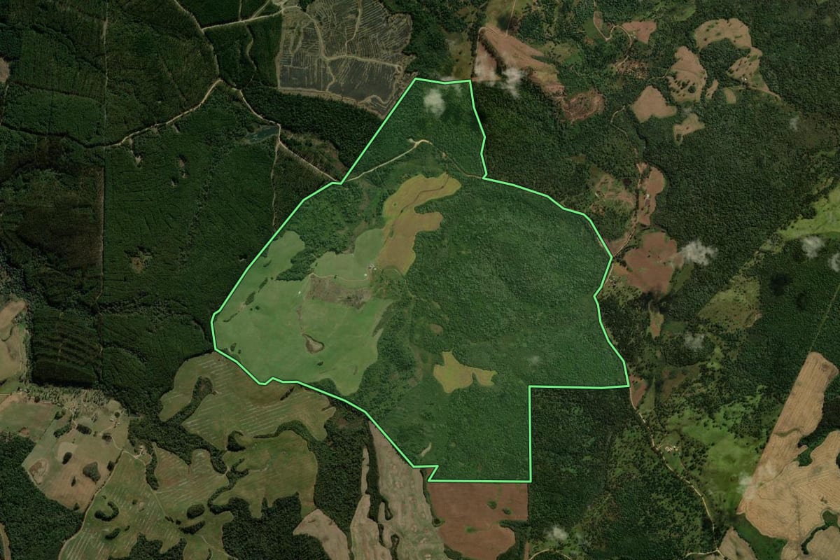 Imagem de satélite do imóvel rural em Coronel Domingos Soares (PR), com o contorno declarado no CAR desenhado por cima.