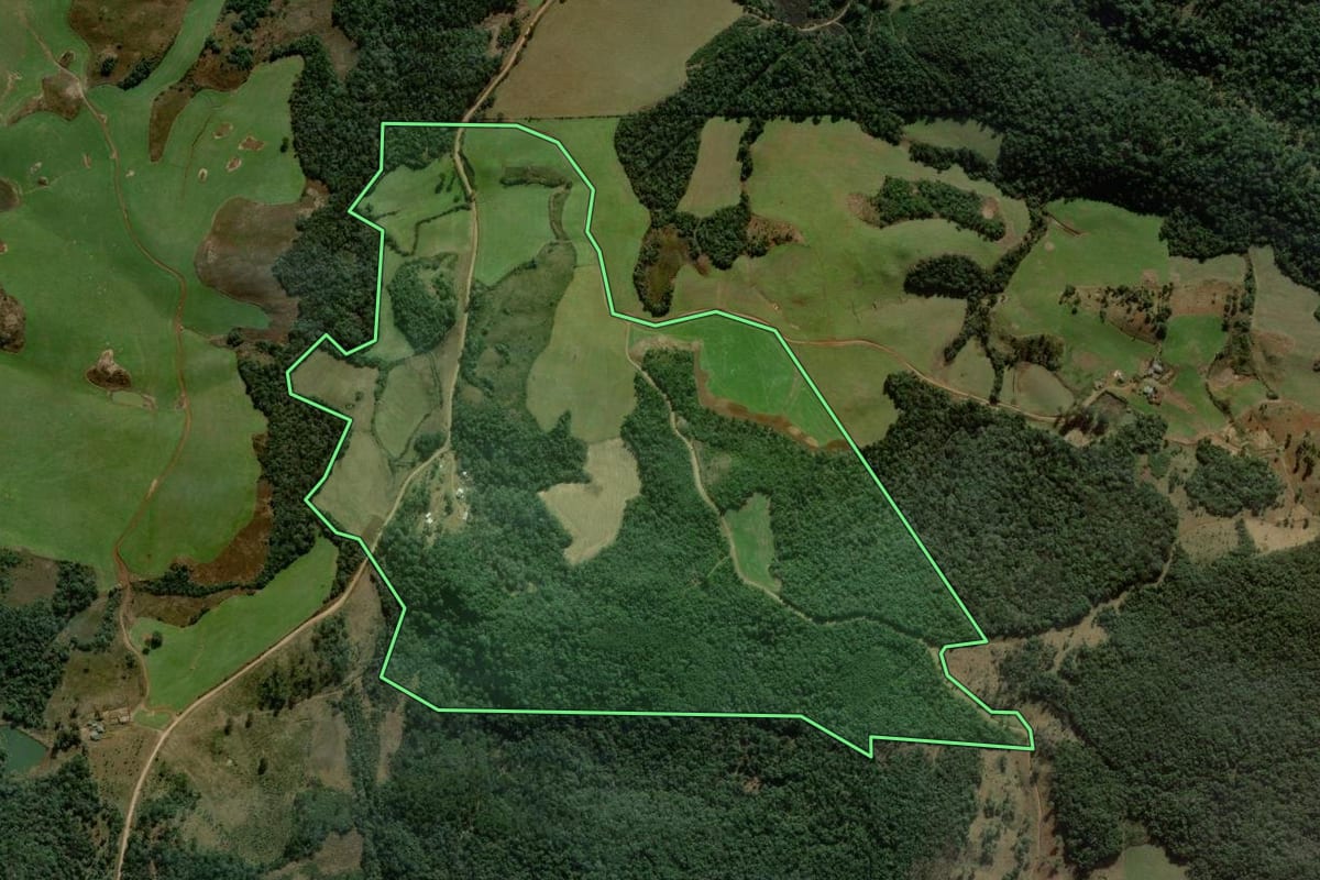Imagem de satélite do imóvel rural em Coronel Domingos Soares (PR), com o contorno declarado no CAR desenhado por cima.