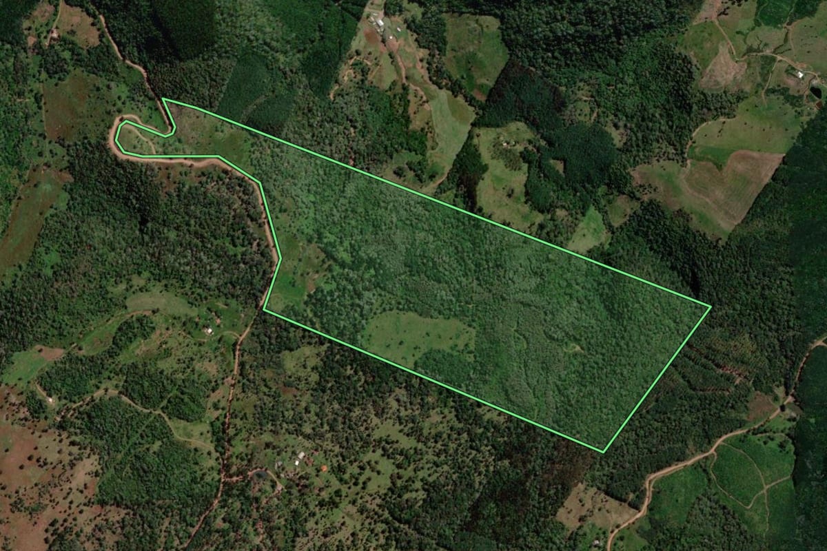 Imagem de satélite do imóvel rural em Coronel Domingos Soares (PR), com o contorno declarado no CAR desenhado por cima.