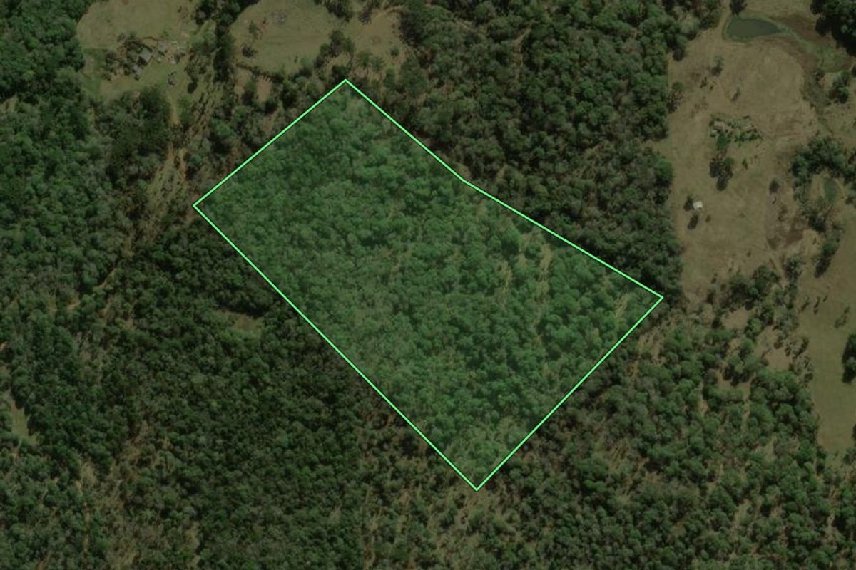 Imagem de satélite do imóvel rural em Coronel Domingos Soares (PR), com o contorno declarado no CAR desenhado por cima.