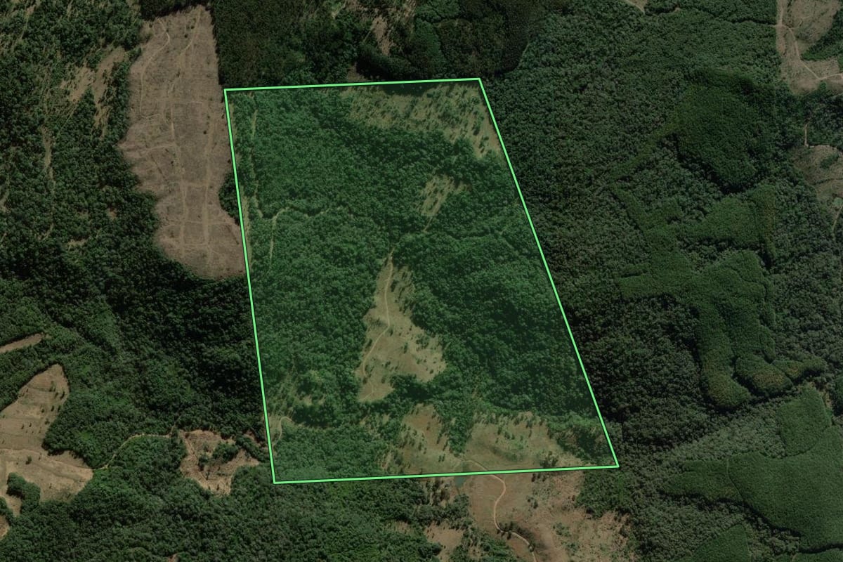 Imagem de satélite do imóvel rural em Coronel Domingos Soares (PR), com o contorno declarado no CAR desenhado por cima.