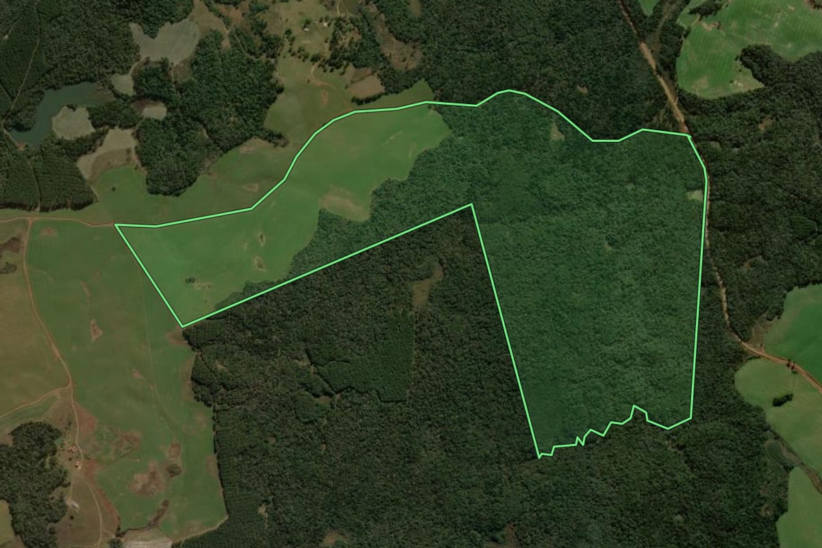 Imagem de satélite do imóvel rural em Coronel Domingos Soares (PR), com o contorno declarado no CAR desenhado por cima.