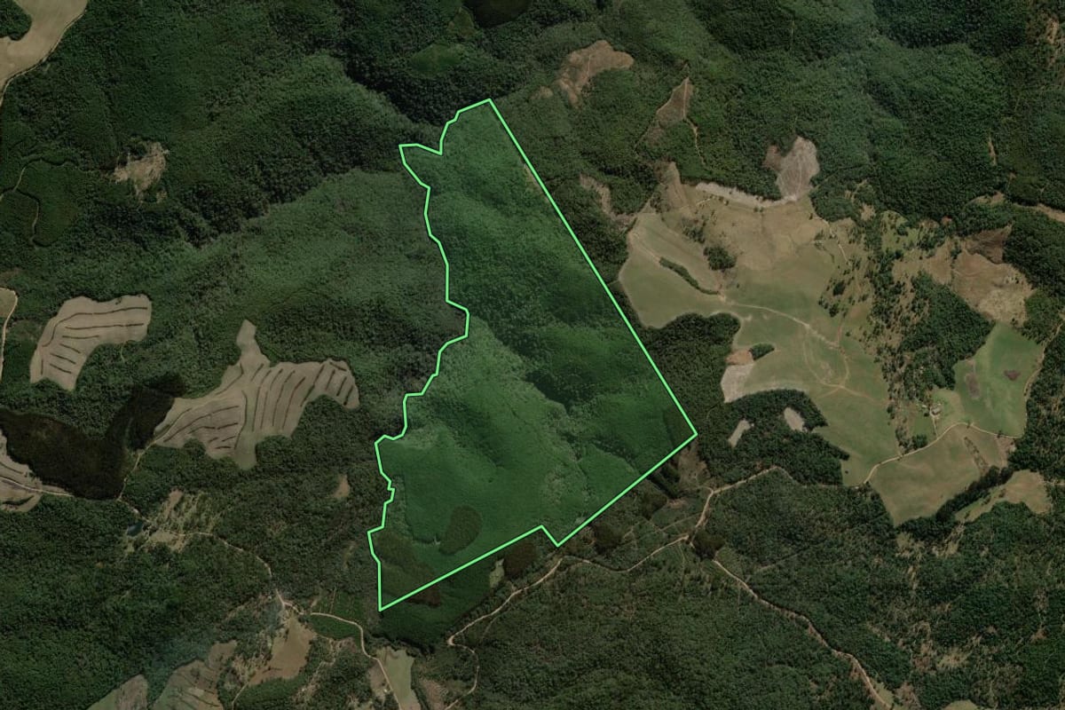 Imagem de satélite do imóvel rural em Coronel Domingos Soares (PR), com o contorno declarado no CAR desenhado por cima.