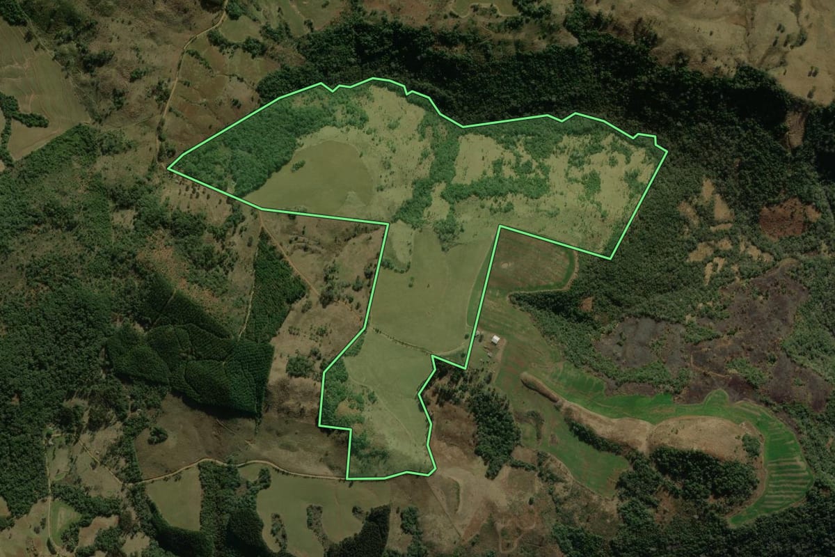 Imagem de satélite do imóvel rural em Coronel Domingos Soares (PR), com o contorno declarado no CAR desenhado por cima.