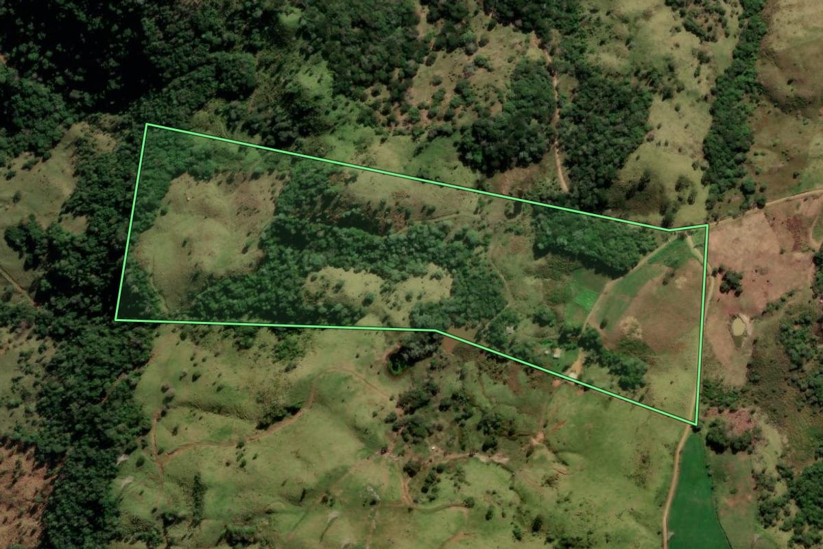 Imagem de satélite do imóvel rural em Coronel Domingos Soares (PR), com o contorno declarado no CAR desenhado por cima.
