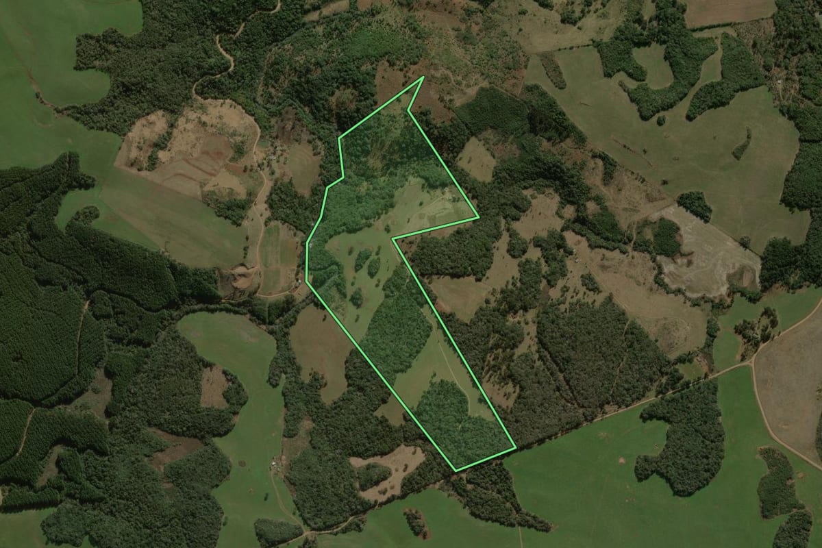Imagem de satélite do imóvel rural em Coronel Domingos Soares (PR), com o contorno declarado no CAR desenhado por cima.