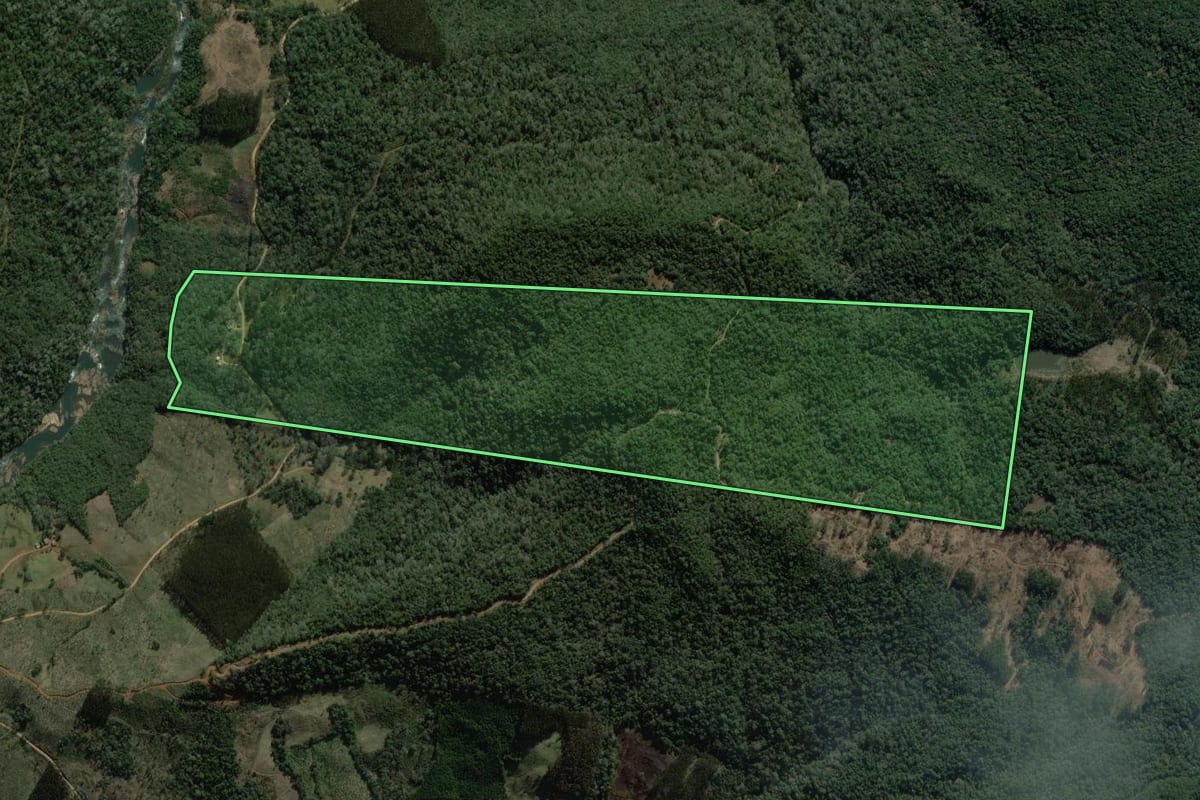 Imagem de satélite do imóvel rural em Coronel Domingos Soares (PR), com o contorno declarado no CAR desenhado por cima.