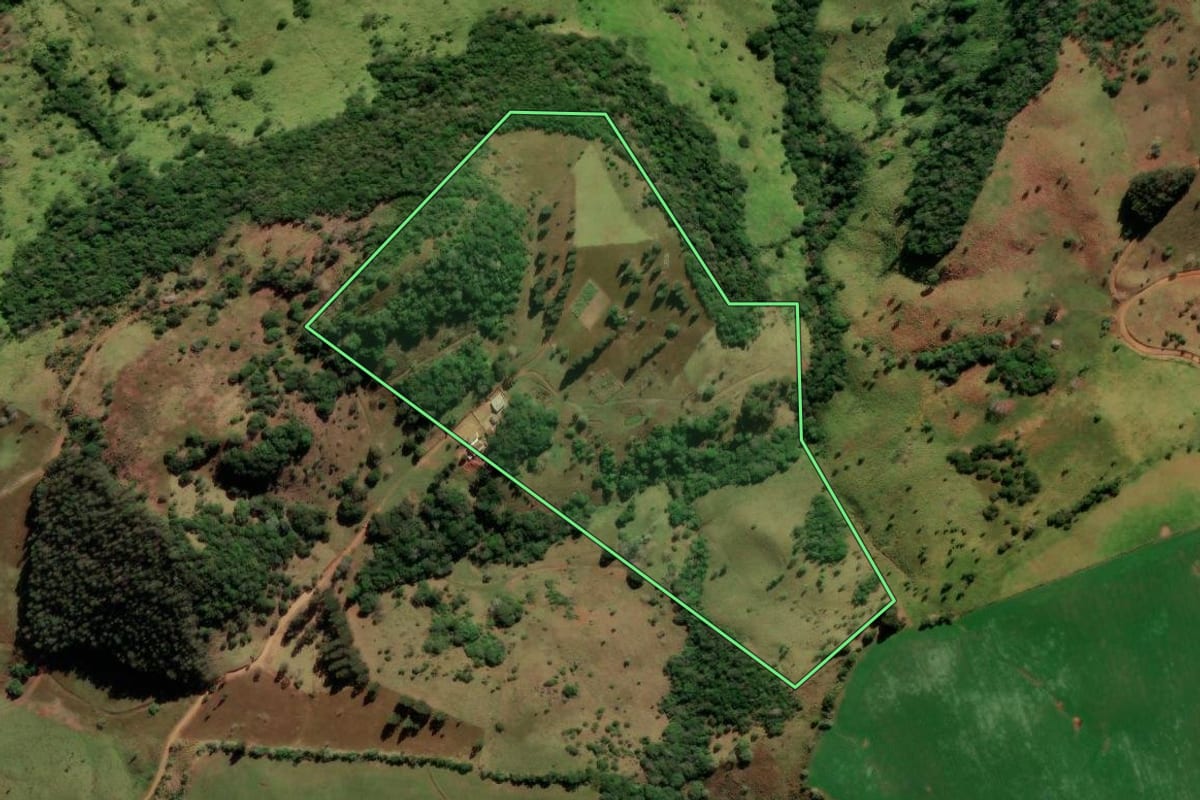 Imagem de satélite do imóvel rural em Coronel Domingos Soares (PR), com o contorno declarado no CAR desenhado por cima.