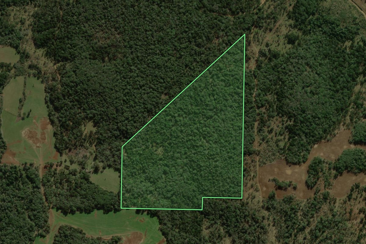 Imagem de satélite do imóvel rural em Coronel Domingos Soares (PR), com o contorno declarado no CAR desenhado por cima.