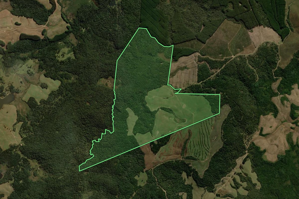 Imagem de satélite do imóvel rural em Coronel Domingos Soares (PR), com o contorno declarado no CAR desenhado por cima.