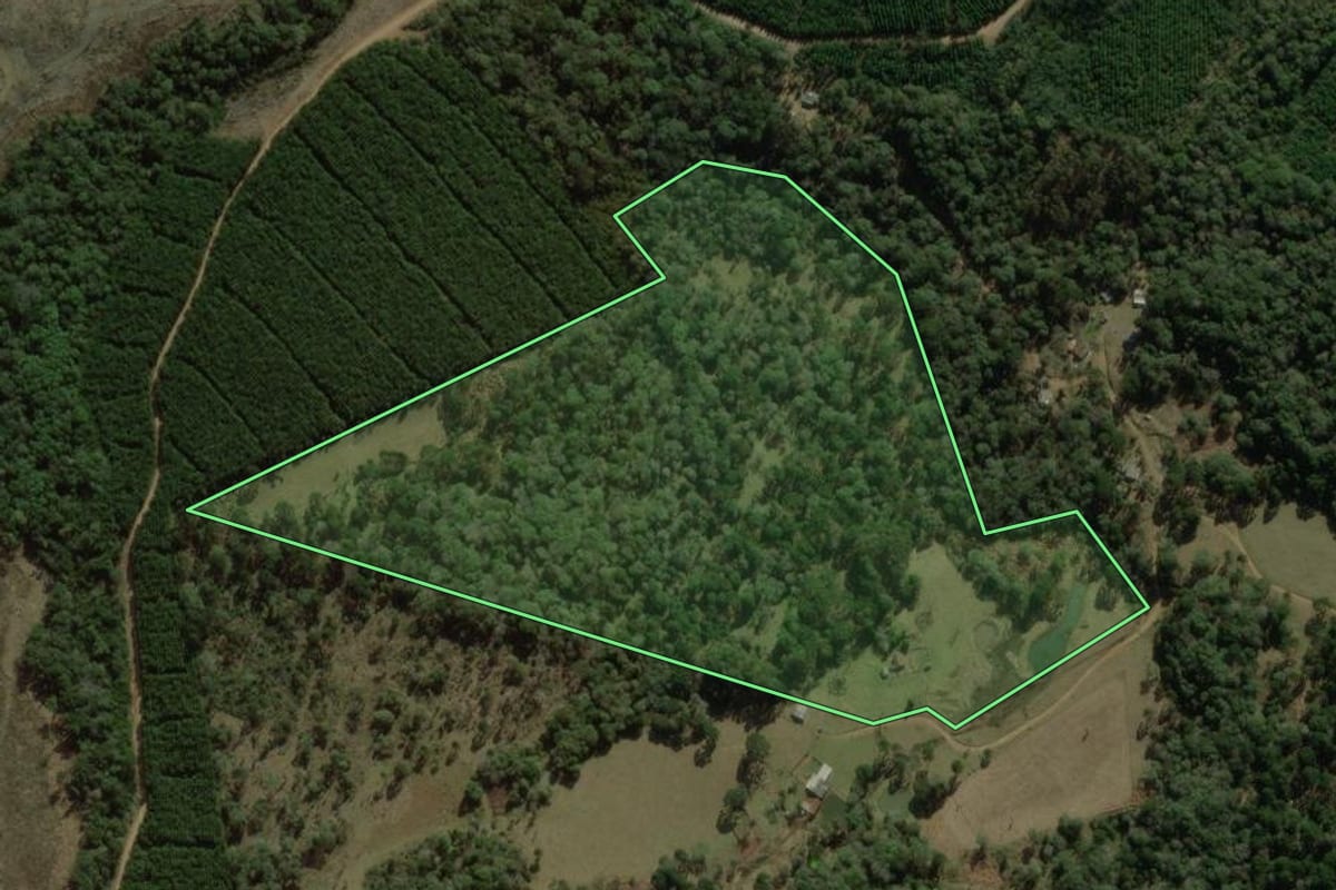 Imagem de satélite do imóvel rural em Coronel Domingos Soares (PR), com o contorno declarado no CAR desenhado por cima.