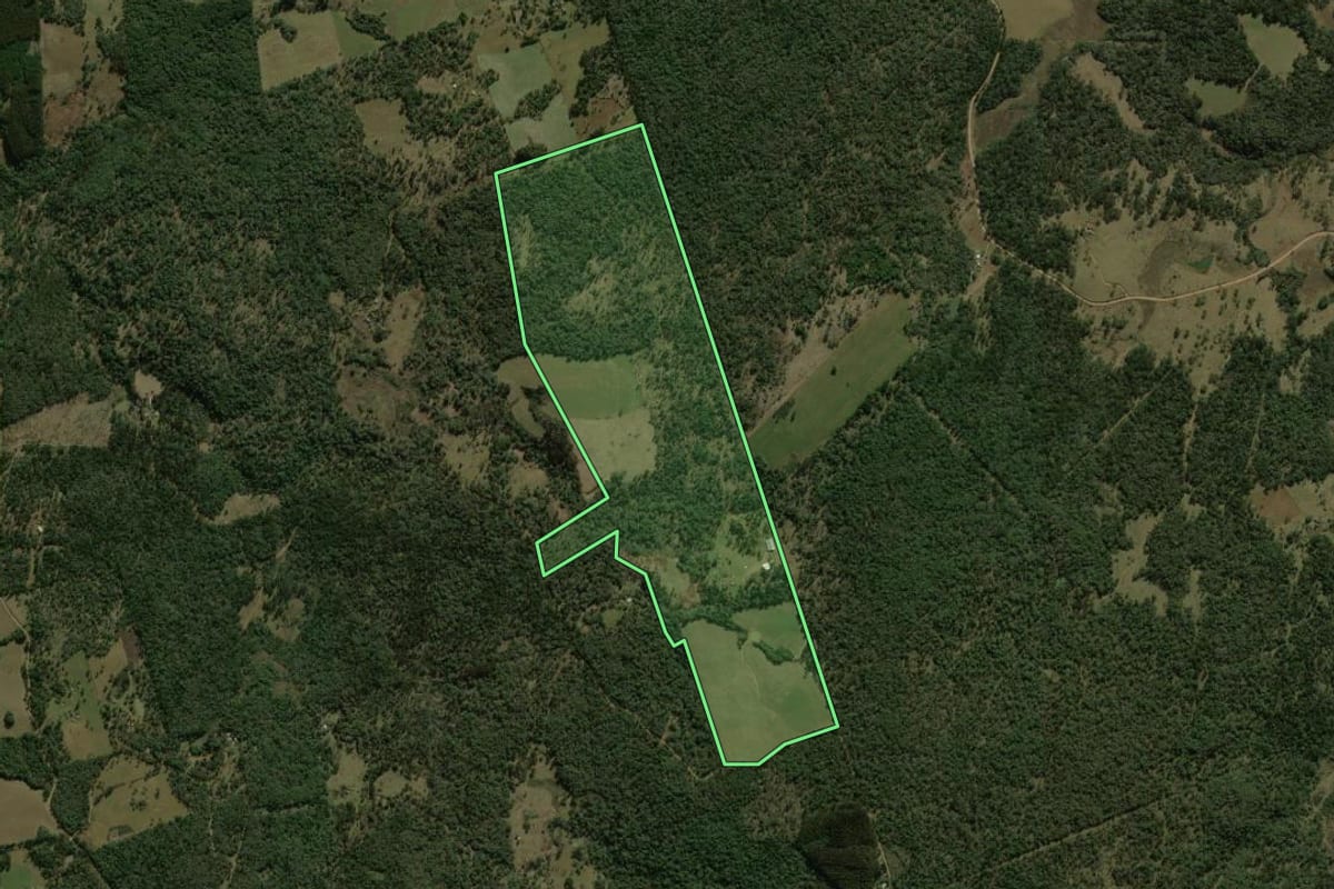 Imagem de satélite do imóvel rural em Coronel Domingos Soares (PR), com o contorno declarado no CAR desenhado por cima.