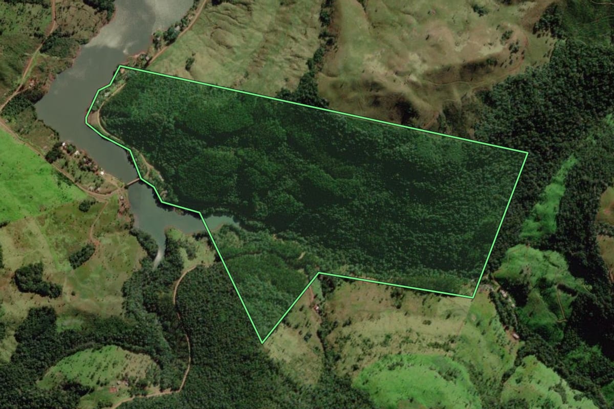 Imagem de satélite do imóvel rural em Coronel Domingos Soares (PR), com o contorno declarado no CAR desenhado por cima.