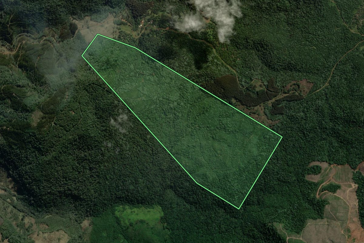 Imagem de satélite do imóvel rural em Coronel Domingos Soares (PR), com o contorno declarado no CAR desenhado por cima.