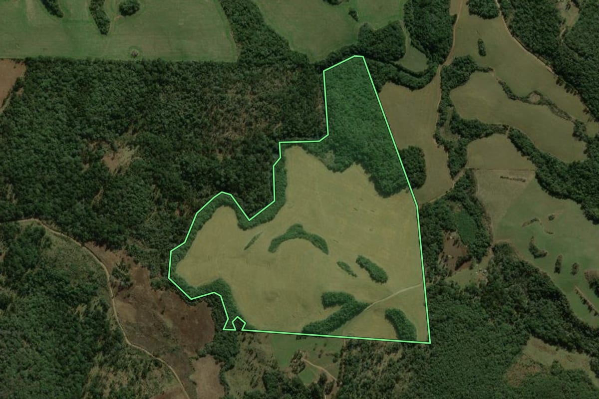 Imagem de satélite do imóvel rural em Coronel Domingos Soares (PR), com o contorno declarado no CAR desenhado por cima.